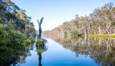 Goulburn River