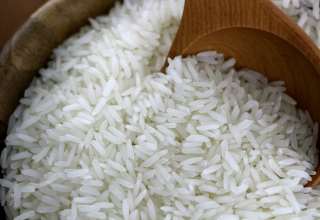 Rice