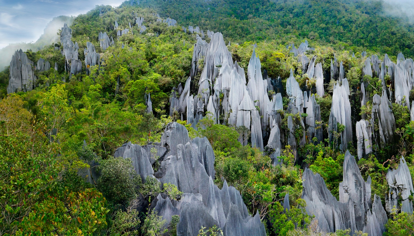 Borneo - Mulu National Park, Sarawak, Malaysia
