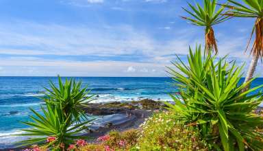 Puerto de la Cruz, Tenerife